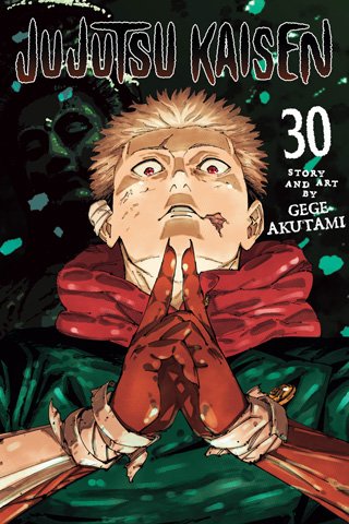 Capa oficial de Jujutsu Kaisen Volume 30 pela VIZ